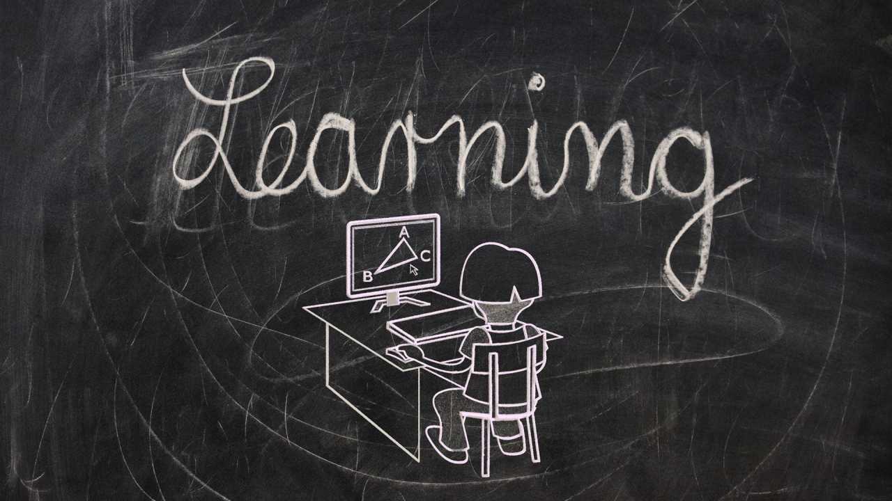 Webinar, Live Online-Training, Seminar, Schulung